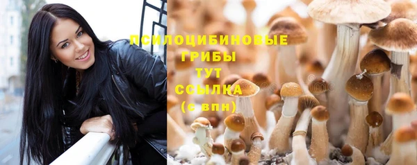 кристаллы Белоозёрский