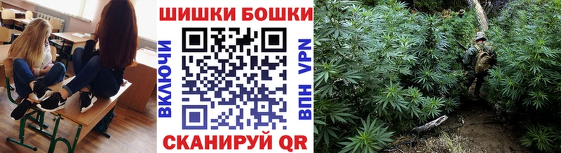 Купить  Куса  Марихуана план 